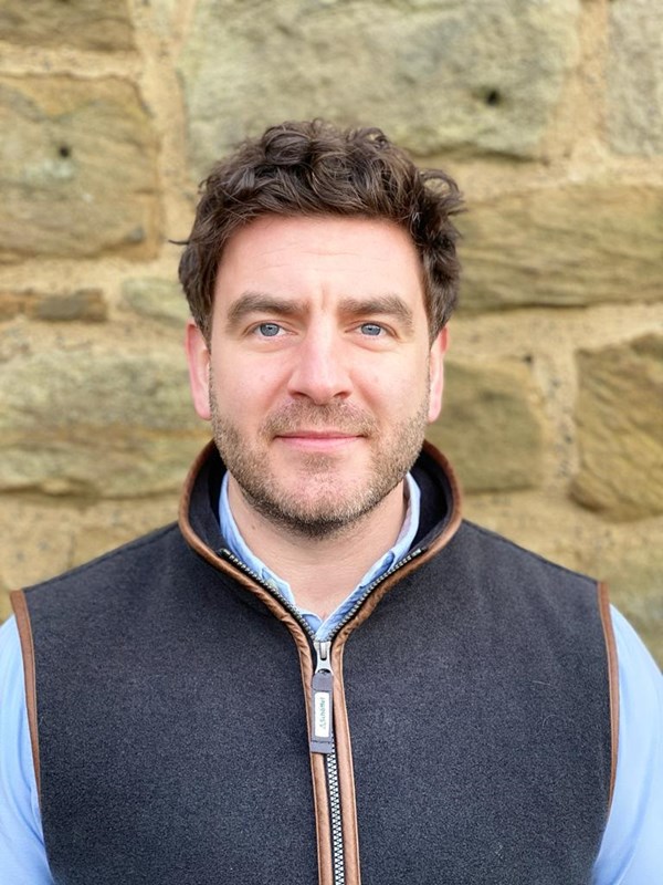 Andrew Lees